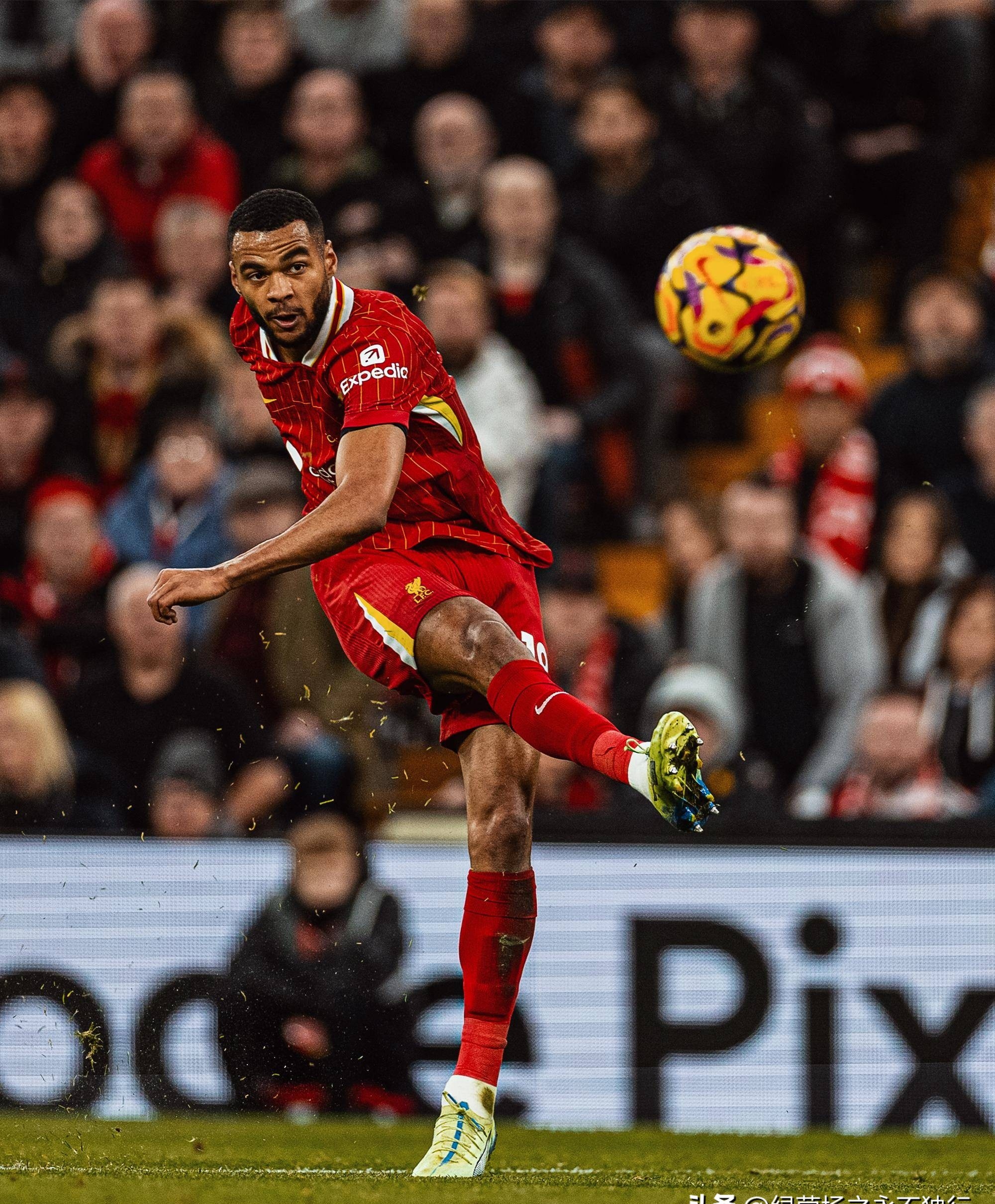 巴西爆冷利物浦,埃尔林绝境逆转 巴西爆冷利物浦,埃尔林绝境逆转