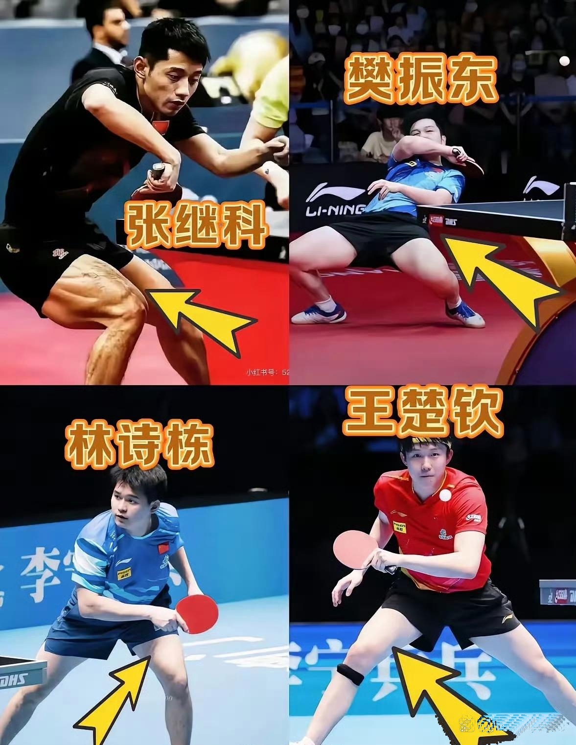 关于法国乒乓球队鏖战韩国乒乓球队,张继科完成帽子戏法的信息 关于法国乒乓球队鏖战韩国乒乓球队,张继科完成帽子戏法的信息