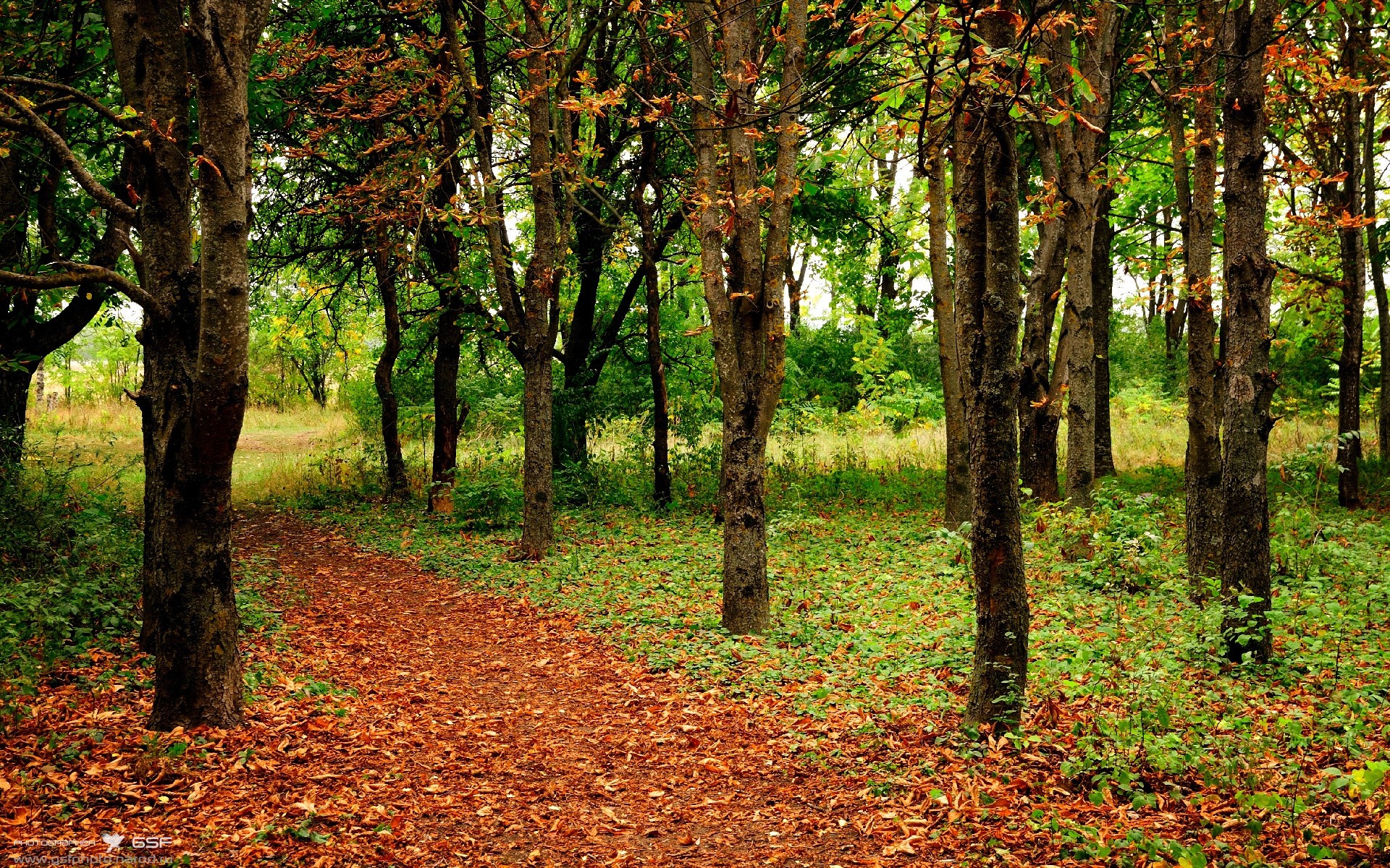 绝杀时刻,阿尔卡拉斯在拉沃尔杯的关键制胜与ATP总决赛的启示