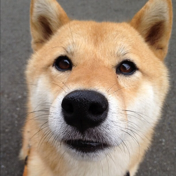 当掘金遇见山西，易建联的封神一战是如何写就的