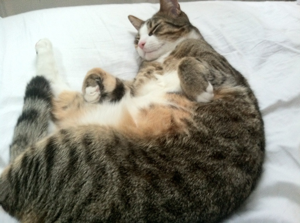 当掘金遇见山西，易建联的封神一战是如何写就的