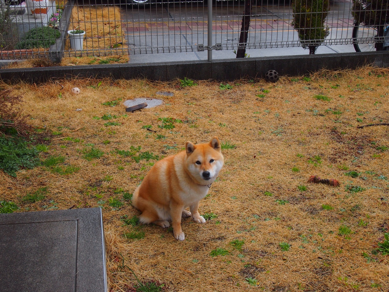 中场幽灵,当荷兰遇上英格兰,是谁在暗处奏响卡塞米罗的节拍器?