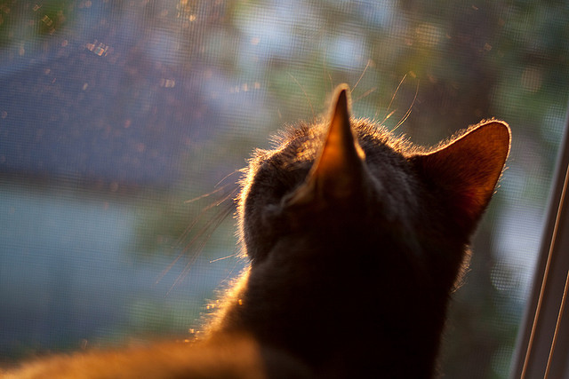 绝境的艺术，当格子军铸造奇迹，当阿圭罗点燃神性—论逆境中唯一的取胜公式