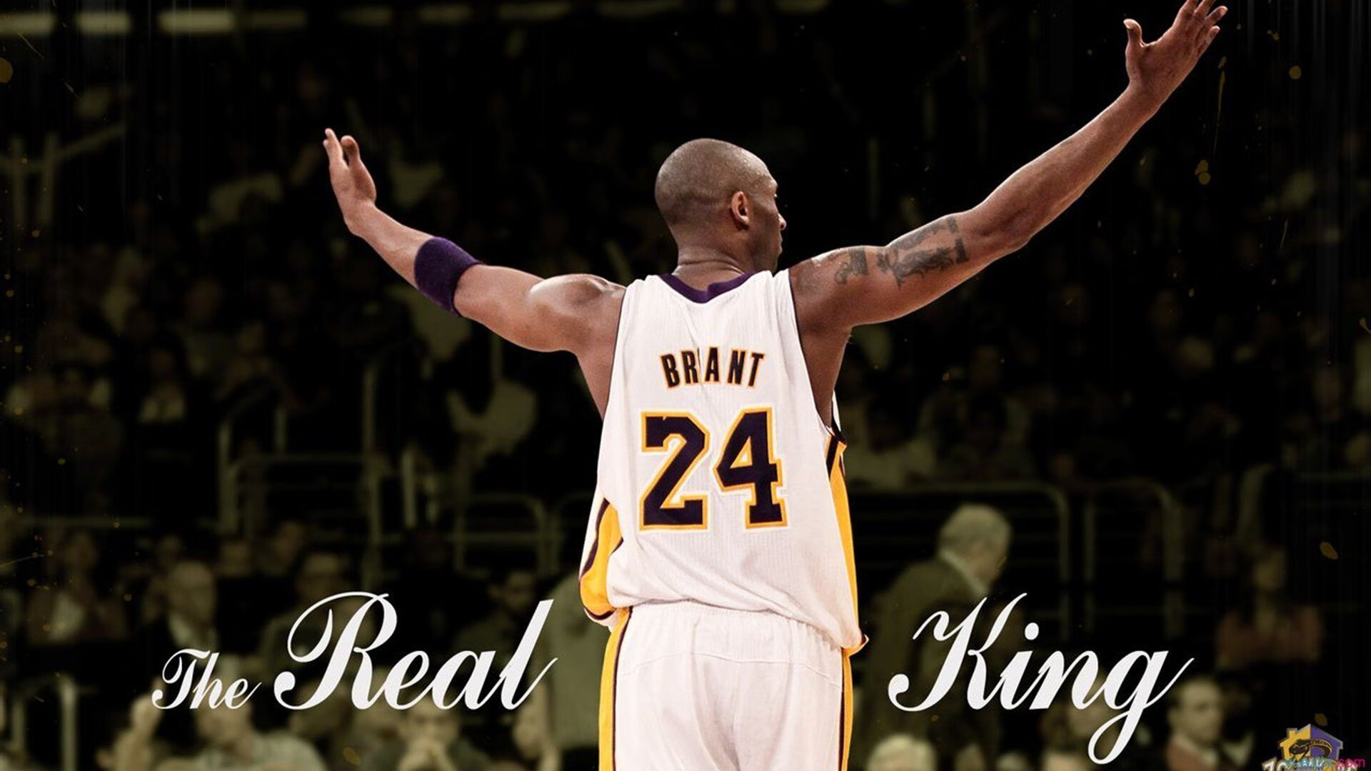 赛道无国界,体育精神联结世界的时刻