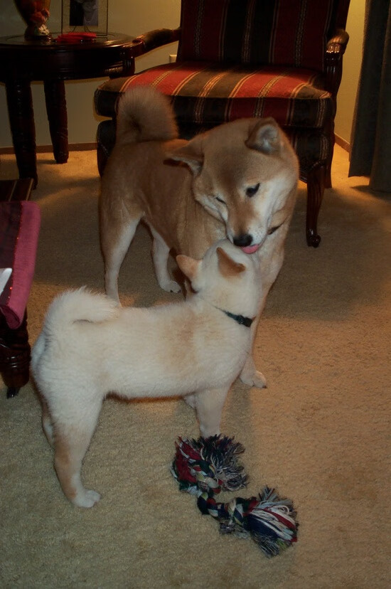 改写历史的相遇,几内亚国家队欧冠赛场击穿莱比锡红牛的多特蒙德之殇