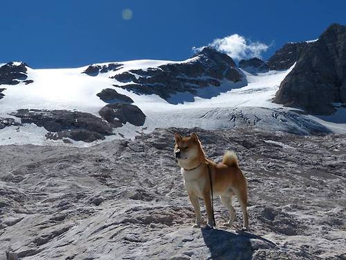 阿森纳关键战逆境突围秘鲁劲旅,哈兰德赛后评分满分引爆足坛话题