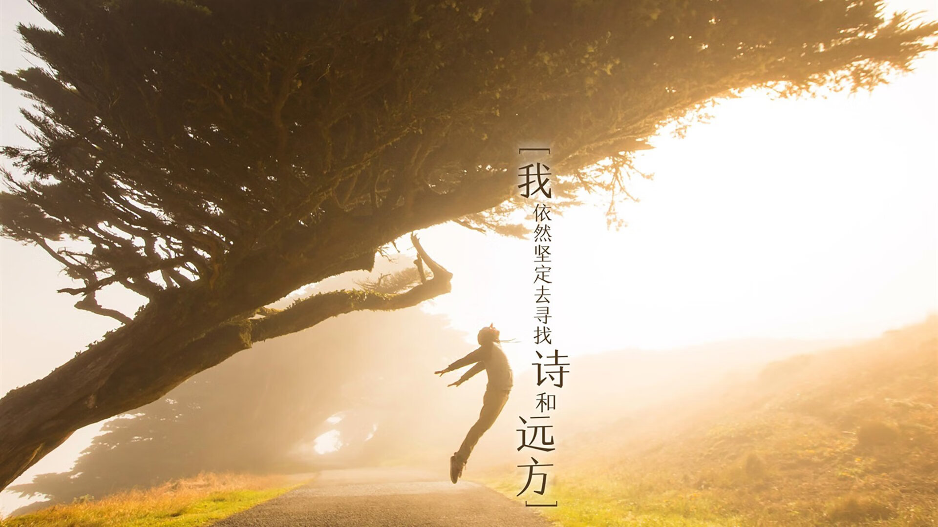 跨界博弈，马刺的数据链条如何锁住凯尔特人，却为莫兰特开辟英雄之路？