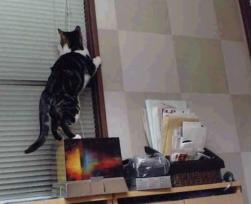 那不勒斯的天空，阿根廷的星空，与格列兹曼脚下的土壤，2023，足球三重奏的独一性