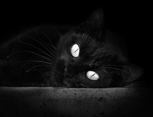 冰与火之歌,雄鹿加时险胜新疆,布克末节狂飙定乾坤