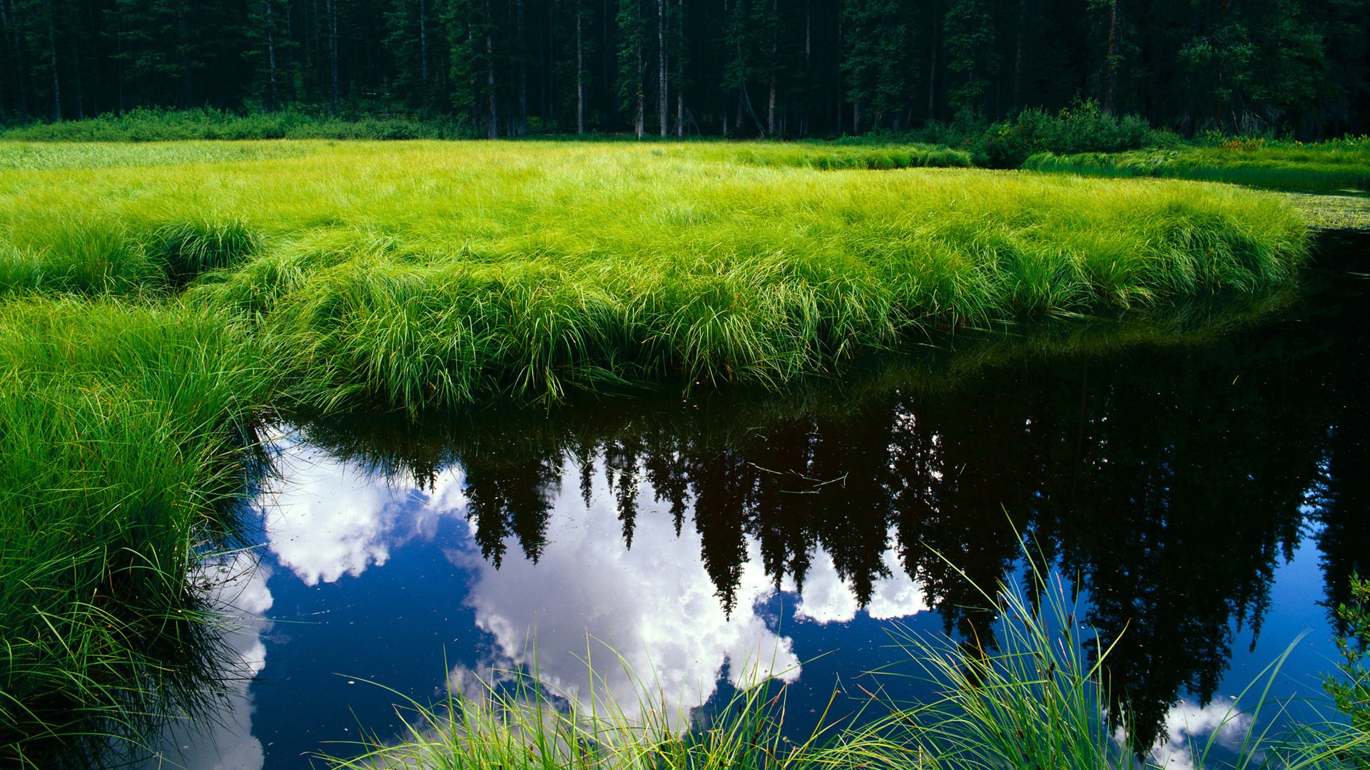 从基多到巴黎,厄瓜多尔一波带走晋级路,皮克成逆转钥匙