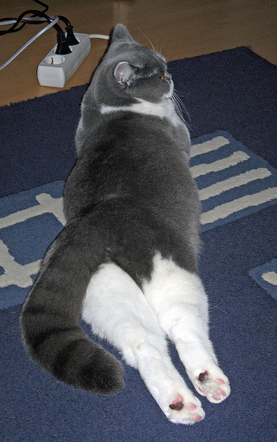 稳定,德布劳内的匀速与西班牙的破局