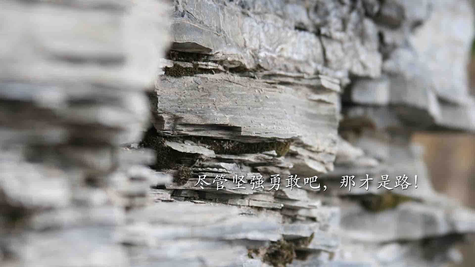 碾压之夜！辽宁队客场踏平浙江，武切维奇化身禁区征服者