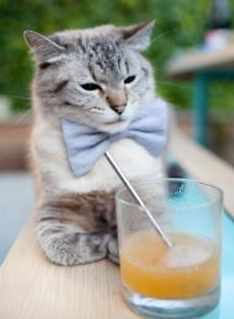 （扩展思维后的标题）费城奇兵克莱闪耀，攻防一体制胜，76人主场力擒篮网中的克莱使用了引号，暗示此克莱非勇士队的克莱·汤普森，而是76人阵中一位姓名或特质相似的关键贡献者，制造悬念和独特性)