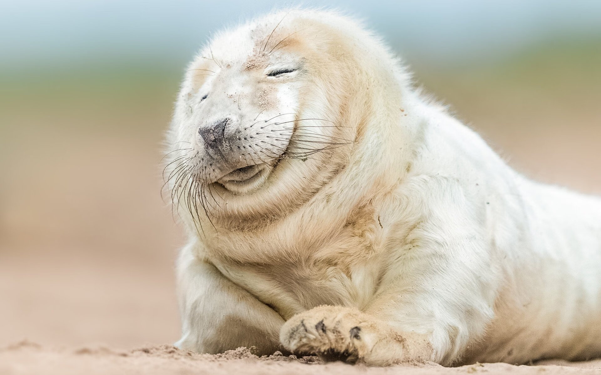 当非洲雄鹰遇上东方巨龙,一场因穆勒而彻底改变剧本的足球对话