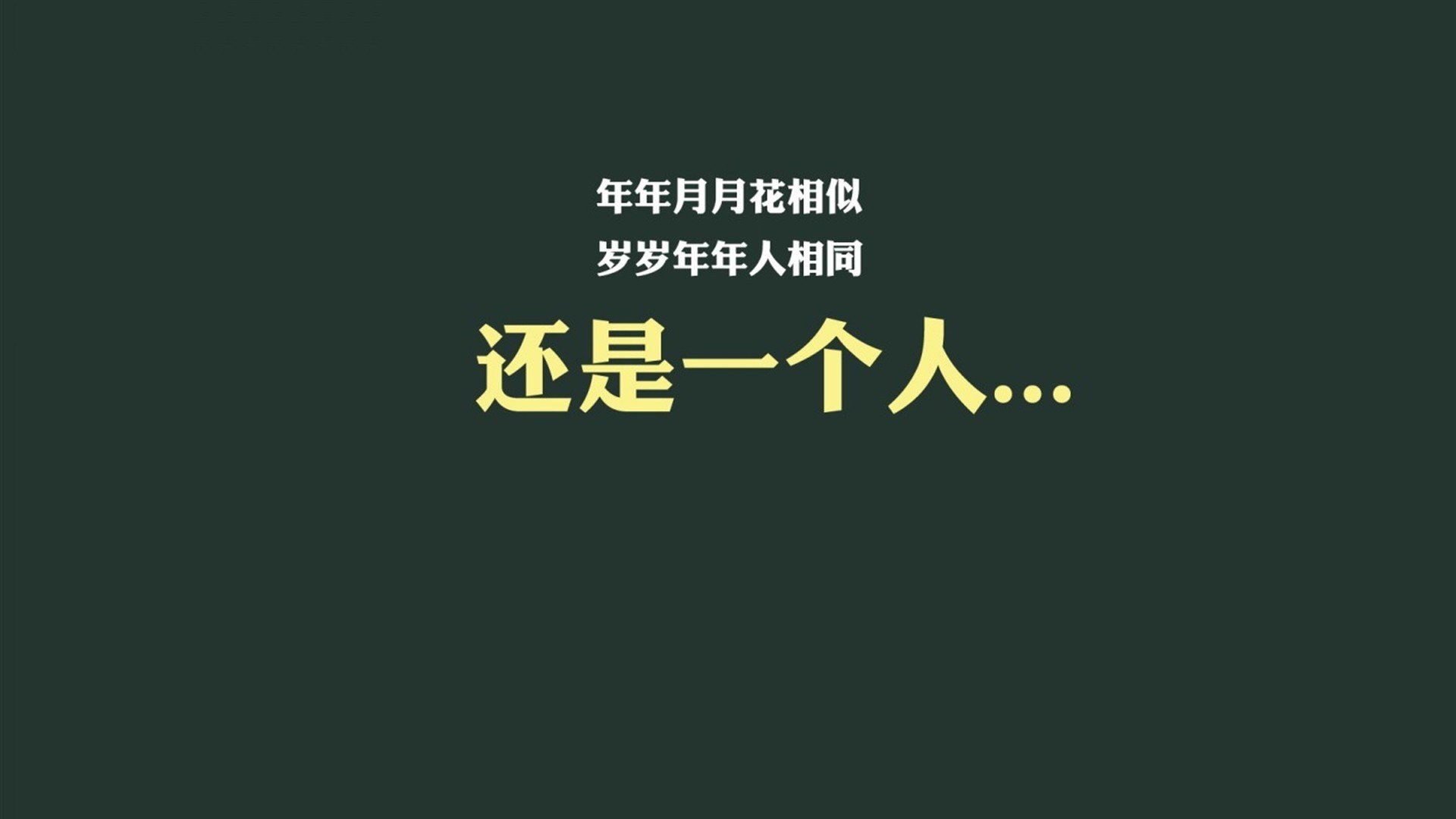 极速风暴,2026世界杯D组关键战,阿诺德掌舵葡萄牙碾压厄瓜多尔,反击利刃出鞘